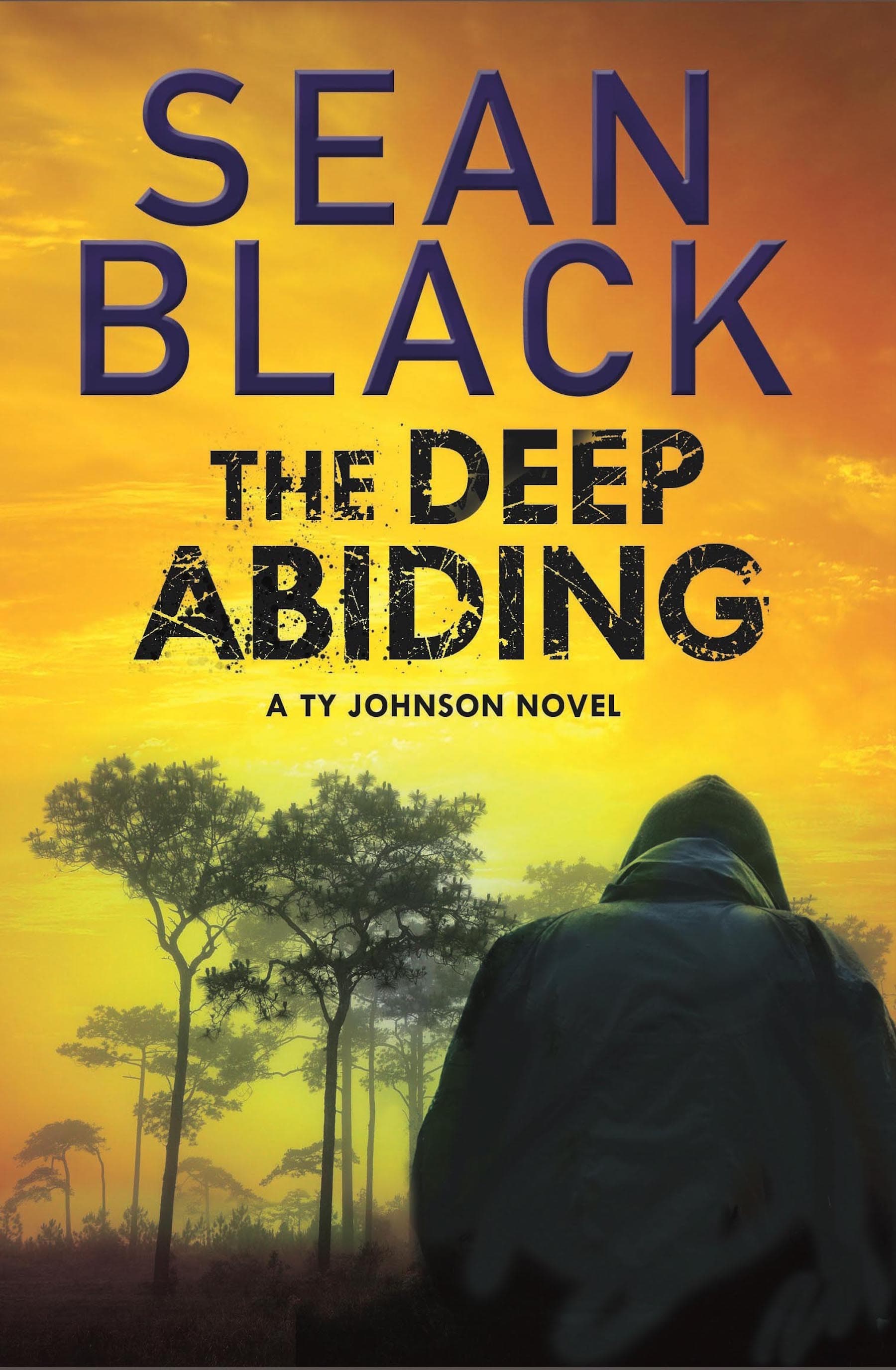 The Deep Abiding cover