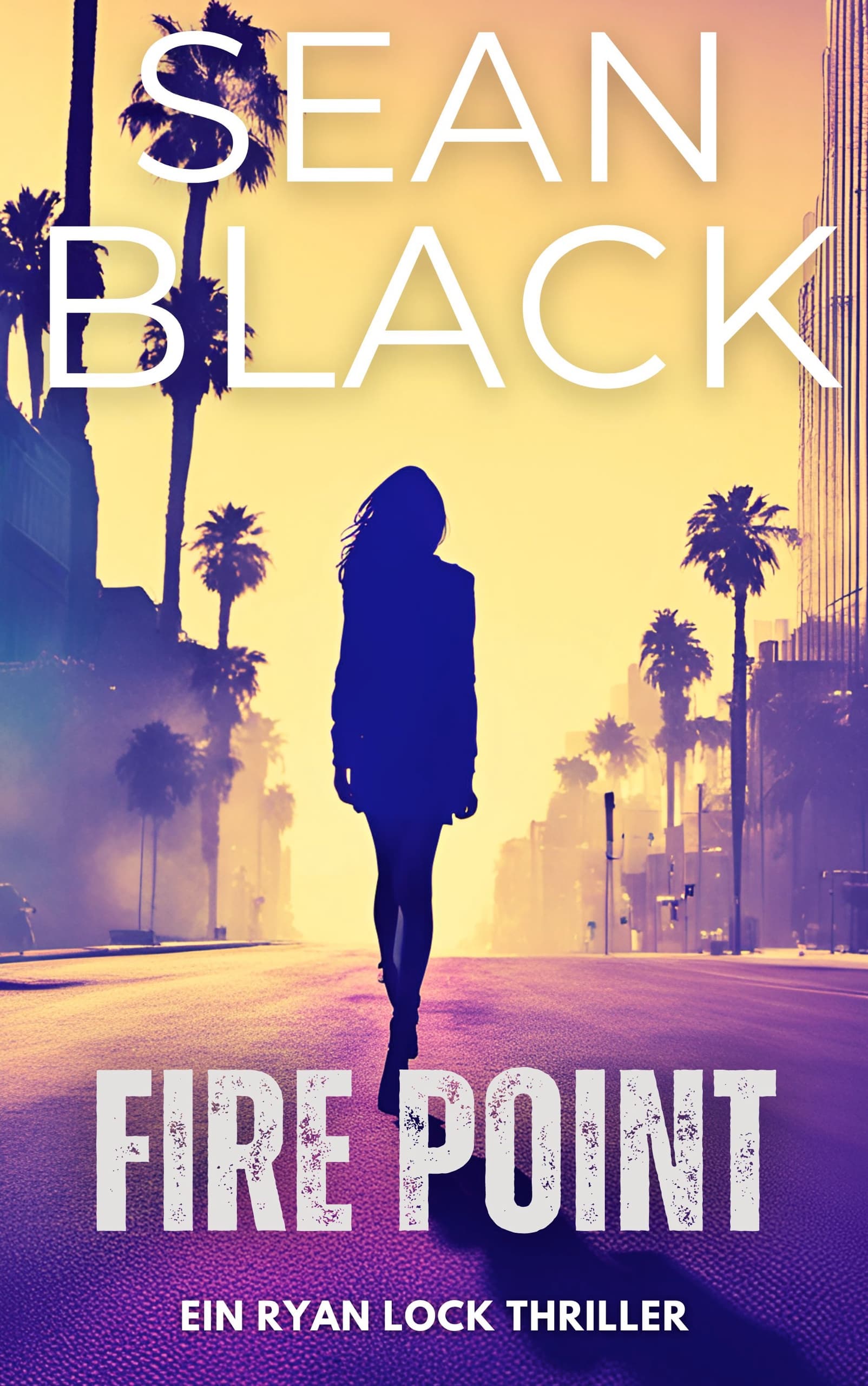Fire Point cover